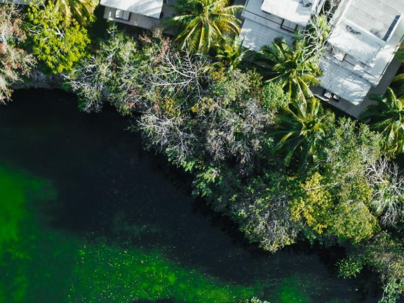 Baño cenote Blue Diamond Luxury Boutique Hotel Riviera Maya Baño cenote Blue Diamond Luxury Boutique Hotel Riviera Maya
