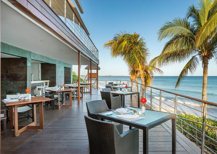 CEVICHE BAR Blue Diamond Luxury Boutique Hotel Riviera Maya CEVICHE BAR Blue Diamond Luxury Boutique Hotel Riviera Maya