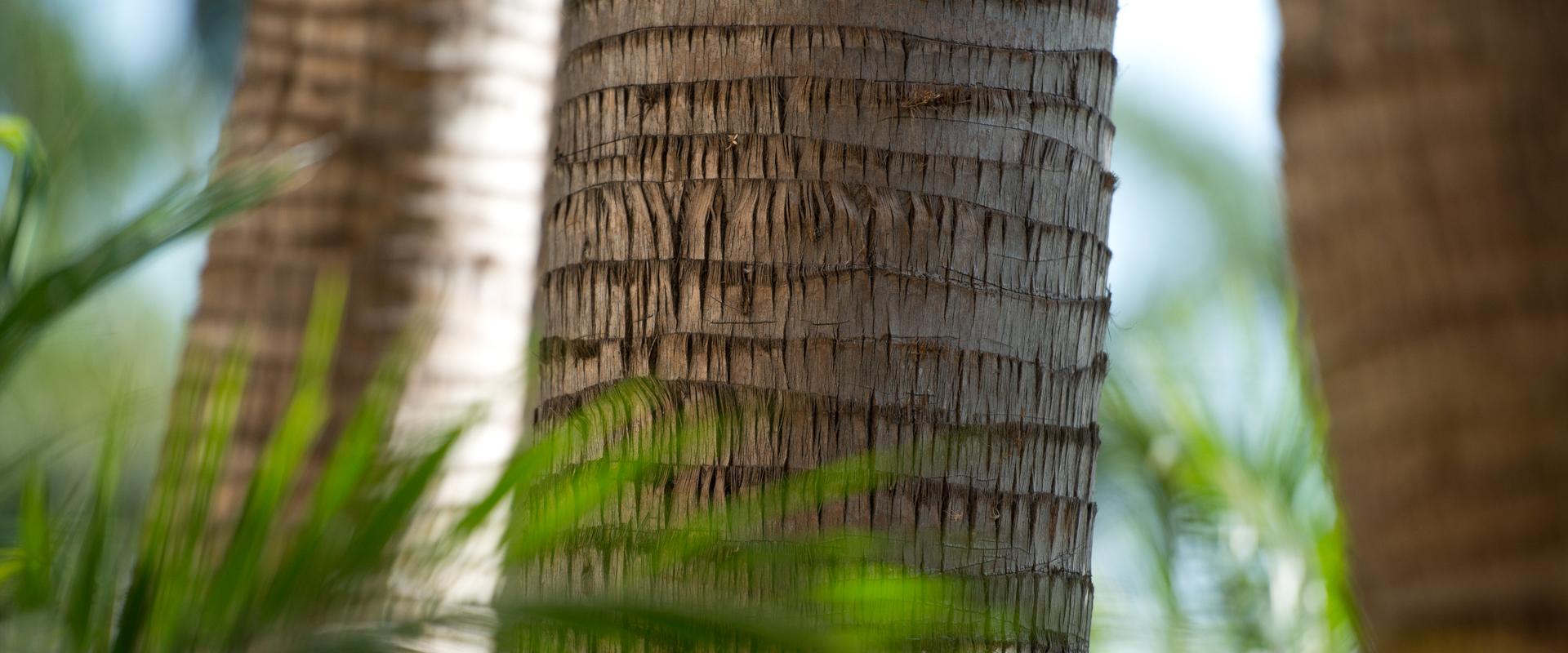 Blue Diamond Luxury Boutique Hotel  Blue Diamond Luxury Boutique Hotel Riviera Maya Blue Diamond Luxury Boutique Hotel  Blue Diamond Luxury Boutique Hotel Riviera Maya