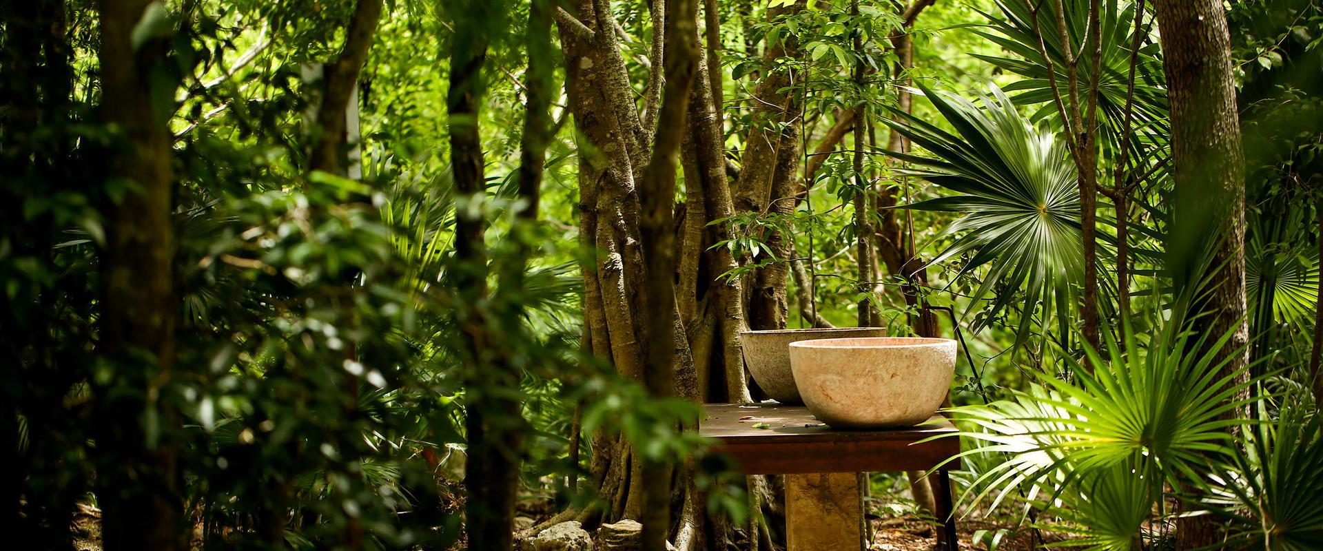 Blue Diamond Luxury Boutique Hotel  Blue Diamond Luxury Boutique Hotel Riviera Maya Blue Diamond Luxury Boutique Hotel  Blue Diamond Luxury Boutique Hotel Riviera Maya